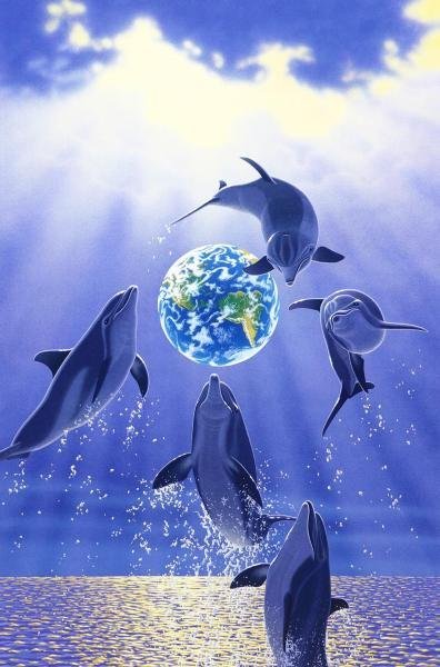 他の方発送×シム・シメール Schim Schimmel 【 夢に届く日 】 Yahoo