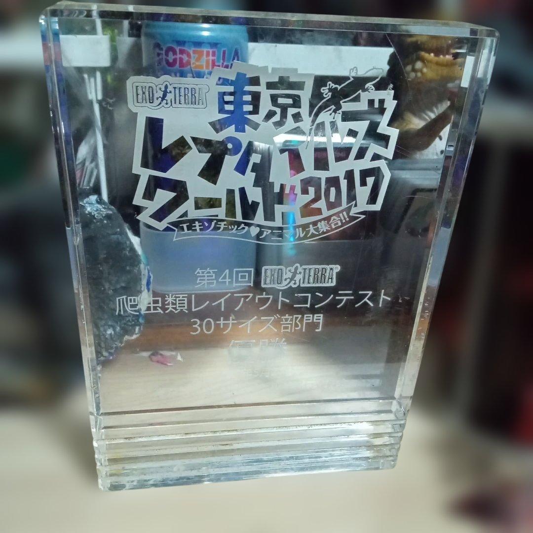 トウレプ 優勝トロフィー 2017 優勝トロフィー 樹脂製人形付きトロフィー T1029シリーズ（高さ230